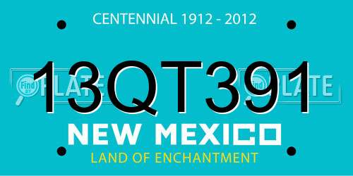 13QT391 New Mexico License Plate