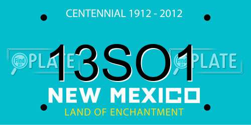 13SO1 New Mexico License Plate