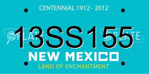 13SS155 New Mexico License Plate