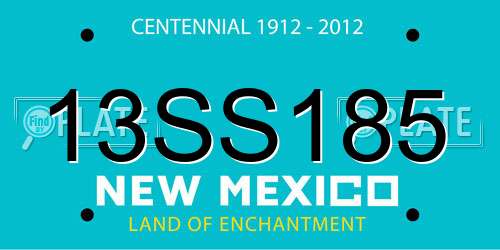 13SS185 New Mexico License Plate