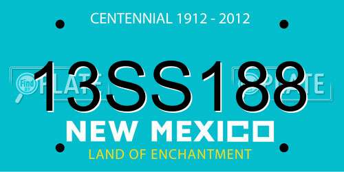 13SS188 New Mexico License Plate