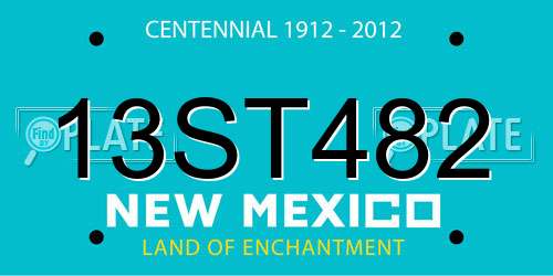 13ST482 New Mexico License Plate