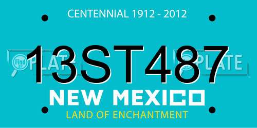 13ST487 New Mexico License Plate