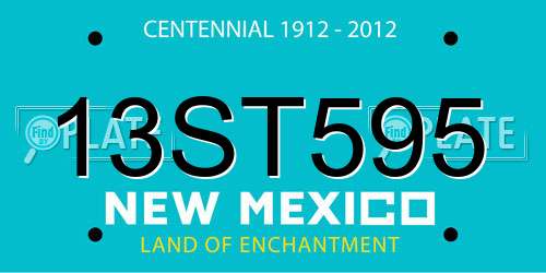 13ST595 New Mexico License Plate