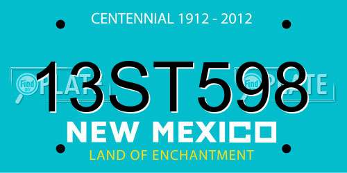 13ST598 New Mexico License Plate