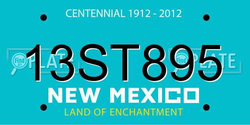 13ST895 New Mexico License Plate