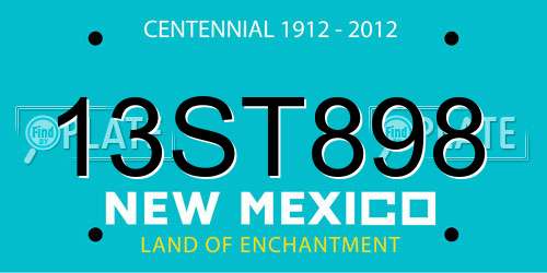 13ST898 New Mexico License Plate