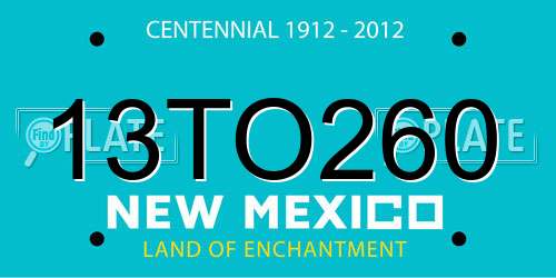 13TO260 New Mexico License Plate