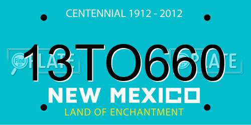 13TO660 New Mexico License Plate