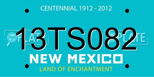 13TS082 New Mexico License Plate