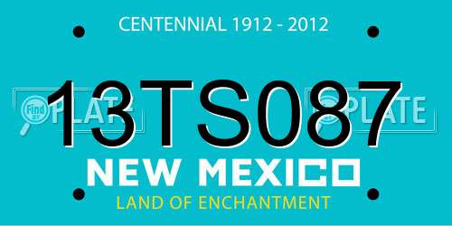13TS087 New Mexico License Plate