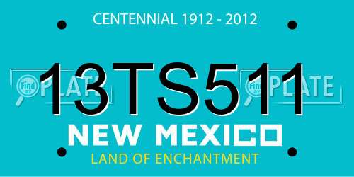 13TS511 New Mexico License Plate