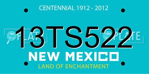 13TS522 New Mexico License Plate