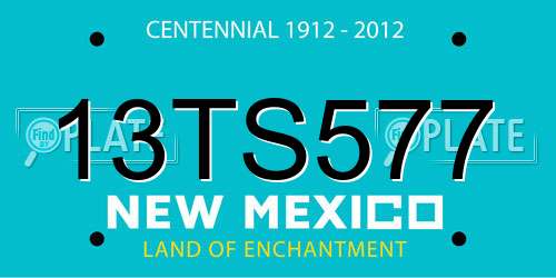 13TS577 New Mexico License Plate