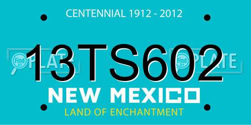 13TS602 New Mexico License Plate
