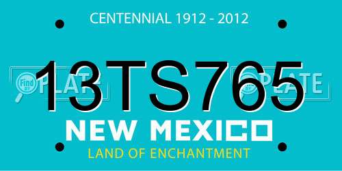 13TS765 New Mexico License Plate
