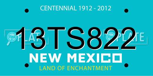 13TS822 New Mexico License Plate