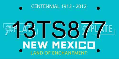 13TS877 New Mexico License Plate