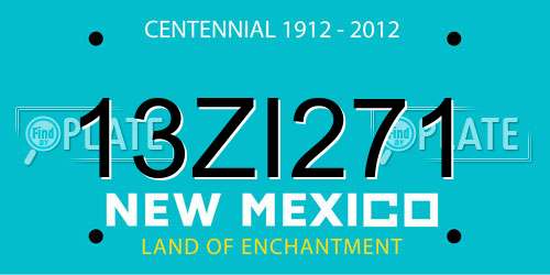 13ZI271 New Mexico License Plate