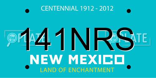 141NRS New Mexico License Plate
