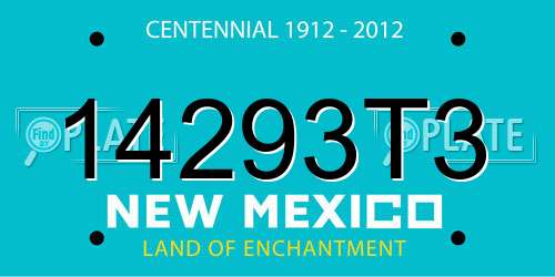 14293T3 New Mexico License Plate