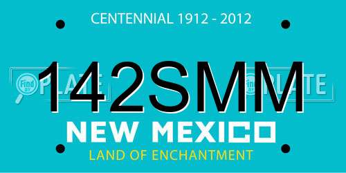 142SMM New Mexico License Plate