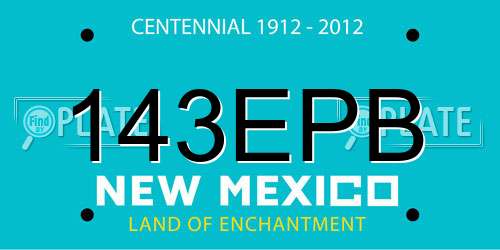 143EPB New Mexico License Plate