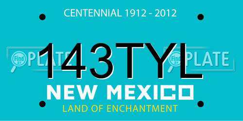 143TYL New Mexico License Plate