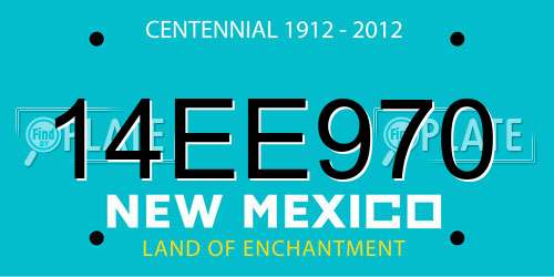 14EE970 New Mexico License Plate