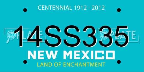 14SS335 New Mexico License Plate