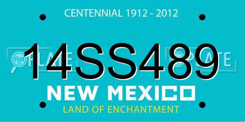 14SS489 New Mexico License Plate