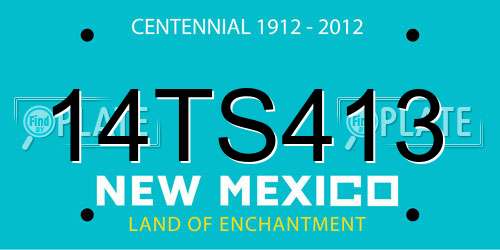14TS413 New Mexico License Plate