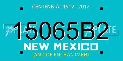 15065B2 New Mexico License Plate