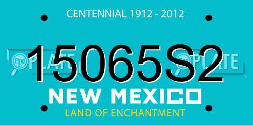 15065S2 New Mexico License Plate