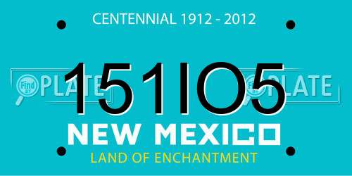 151IO5 New Mexico License Plate