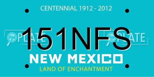 151NFS New Mexico License Plate