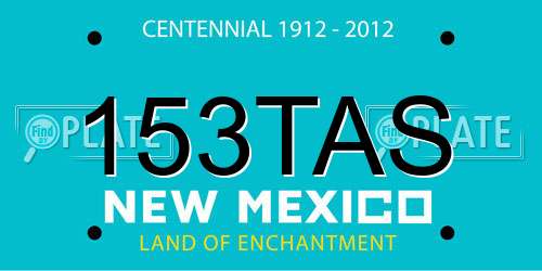 153TAS New Mexico License Plate