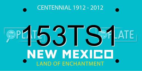 153TS1 New Mexico License Plate