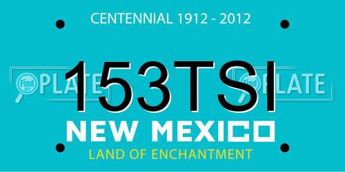 153TSI New Mexico License Plate