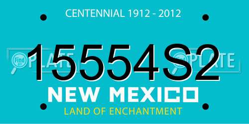 15554S2 New Mexico License Plate