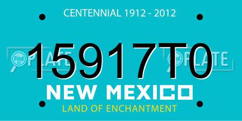 15917T0 New Mexico License Plate