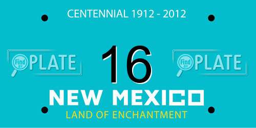 16 New Mexico License Plate