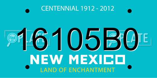 16105B0 New Mexico License Plate