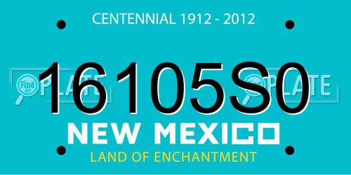 16105S0 New Mexico License Plate