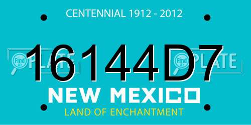 16144D7 New Mexico License Plate