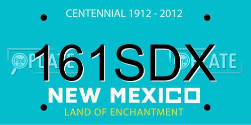 161SDX New Mexico License Plate