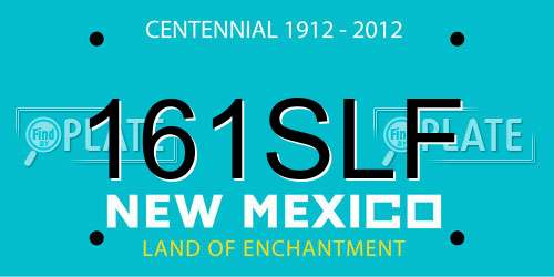 161SLF New Mexico License Plate