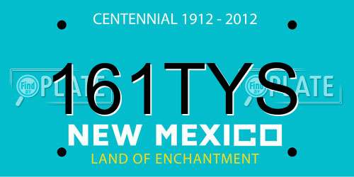 161TYS New Mexico License Plate
