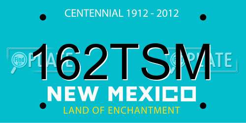 162TSM New Mexico License Plate