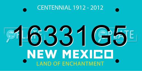 16331G5 New Mexico License Plate